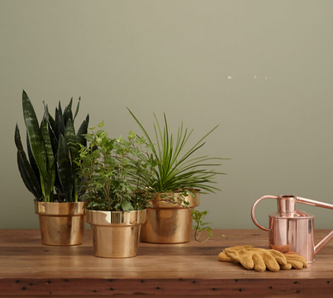 featured_image7